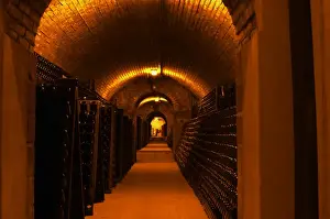 Storage Prints: The underground wine cellar, thousands of bottles aging either in pupitres (racks)