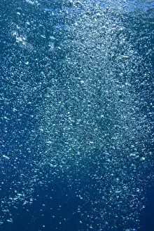 Bubble Prints: Underwater bubbles from scuba diver near Taveuni Island, Fiji, South Pacific