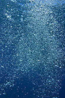 Images Dated 25th November 2005: Underwater bubbles from scuba diver near Taveuni Island, Fiji, South Pacific