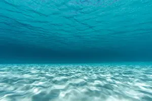 Exuma Chain Prints: Underwater photograph of a textured sandbar in clear blue water near Staniel Cay