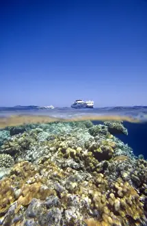 Beneath Prints: Above and underwater shot of dive boats and corals at Panorama Reef (Abu Alama), Red Sea