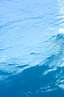 Images Dated 12th March 2007: underwater upward angle view of ocean surface, Utila, North Side, Bay Islands, Honduras