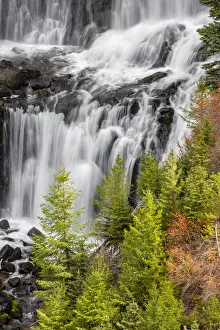 Images Dated 5th August 2020: Undine Falls, Yellowstone National Park, Montana, USA