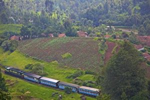 Images Dated 14th October 2009: UNESCO, India, Tamil Nadu, Nilgiri Mountains