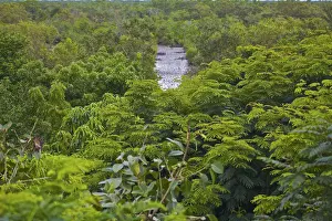 Images Dated 5th October 2009: UNESCO, India, West Bengal, Sunderbans National Park World Heritage site