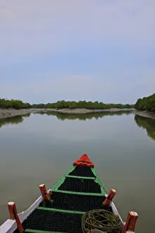 Images Dated 7th October 2009: UNESCO, India, West Bengal, Sunderbans National Park World Heritage site and Biosphere Reserve