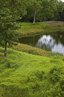 Images Dated 7th October 2009: UNESCO, India, West Bengal, Sunderbans National Park World Heritage site and Biosphere Reserve