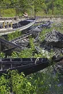 UNESCO, India, West Bengal, Sunderbans National Park World Heritage site and Biosphere Reserve