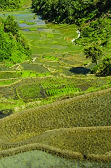 Destinations Prints: Unesco world heritage sight the rice terraces of Banaue, Northern Luzon, Philippines
