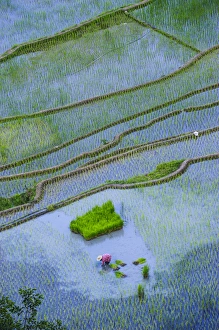 Unesco world heritage sight the rice terraces of Banaue, Northern Luzon, Philippines