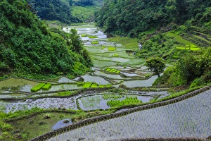 Images Dated 23rd April 2011: Unesco world heritage sight the rice terraces of Banaue, Northern Luzon, Philippines