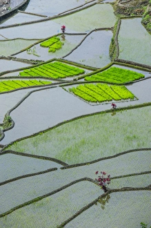 Images Dated 23rd April 2011: Unesco world heritage sight the rice terraces of Banaue, Northern Luzon, Philippines