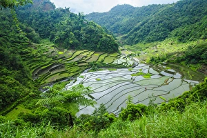 Images Dated 23rd April 2011: Unesco world heritage sight the rice terraces of Banaue, Northern Luzon, Philippines