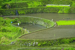Unesco world heritage sight the rice terraces of Banaue, Northern Luzon, Philippines