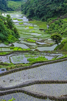 Images Dated 23rd April 2011: Unesco world heritage sight the rice terraces of Banaue, Northern Luzon, Philippines