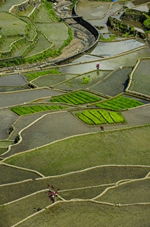 Images Dated 25th April 2011: Unesco world heritage sight the rice terraces of Banaue, Northern Luzon, Philippines