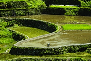 Images Dated 25th April 2011: Unesco world heritage sight the rice terraces of Banaue, Northern Luzon, Philippines