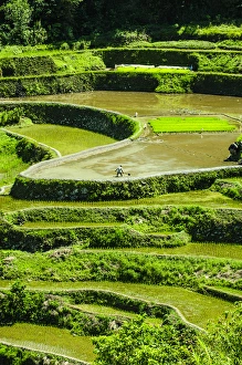 Unesco world heritage sight the rice terraces of Banaue, Northern Luzon, Philippines