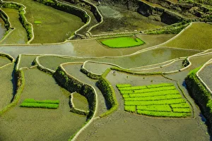 Images Dated 25th April 2011: Unesco world heritage sight the rice terraces of Banaue, Northern Luzon, Philippines