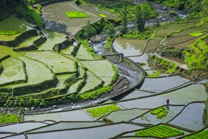 Images Dated 23rd April 2011: Unesco world heritage sight the rice terraces of Banaue, Northern Luzon, Philippines
