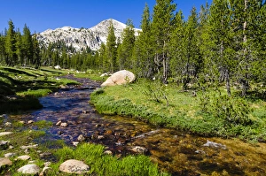 Active Prints: Unicorn Creek, Tuolumne Meadows, Yosemite National Park, California USA