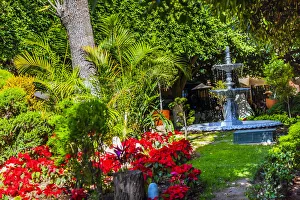 Town Square Prints: Union Garden Jardin Fountain Guanajuato Mexico