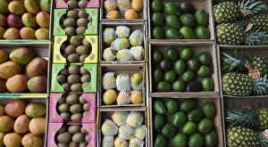 Images Dated 7th December 2008: United Arab Emirates, Abu Dhabi. Close-up of various fruit in boxes on display at a market