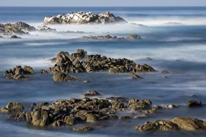 Saltwater Prints: United States, California, Pacific Grove, Ocean View Drive