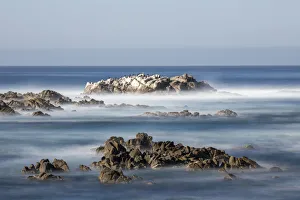 Images Dated 21st January 2020: United States, California, Pacific Grove, Ocean View Drive