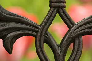 United States, DC, Washington, Franciscan Monastery, wrought iron design with pink