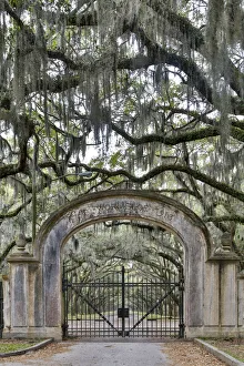 Images Dated 1st April 2016: United States, Georgia, Savannah, Wormsloe, Gate at Entrance