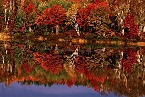 United States, Michigan, Upper Peninsula. Fall color reflected in Thornton Lake