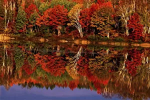 United States, Michigan, Upper Peninsula. Fall color reflected in Thornton Lake United States, Michigan, Upper Peninsula. Fall color reflected in Thornton Lake