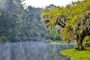 Images Dated 30th March 2016: United States, North Carolina, Charleston, Middleton Place, Early Morning Mist