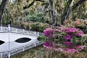 Rights Managed Prints: United States, North Carolina, Magnolia Plantation, White Bridge with Azaleas