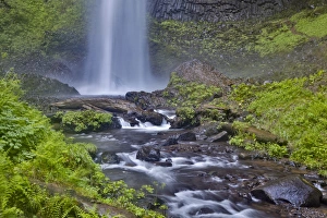 Images Dated 17th April 2016: United States, Oregon, Columbia River Gorge, Latourelle Falls