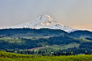 Oregon Prints: United States, Oregon, Columbia River Gorge, Mt. Hood Landscape