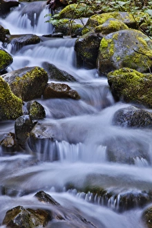 Images Dated 19th April 2016: United States, Oregon, Columbia River Gorge, Water Cascading over Rocks at Punchbowl
