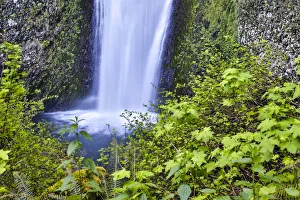 United States, Oregon, Columbia River Gorge, Multnomah Falls