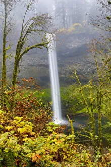 Images Dated 25th October 2013: United States, Oregon, Silver Falls State Park, South Falls
