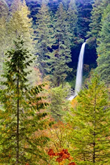 United States, Oregon, Silver Falls State Park, Falls amongs the Fall Foliage