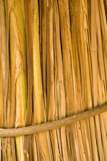 Images Dated 4th April 2008: United States, Puerto Rico, Ponce. Straw hut at Tibes Indian Ceremonial Center