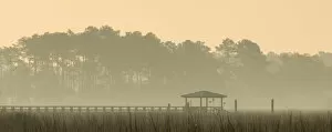 Images Dated 5th April 2006: United States; South Carolina; Ace Basin National Estuarine Research Reserve, boardwalk in fog