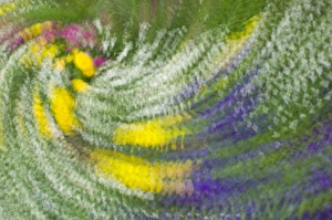 Images Dated 10th April 2006: United States; South Carolina; Charleston; Magnolia Plantation, multiple exposure