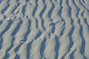 Images Dated 5th April 2006: United States; South Carolina; Charleston; Folly Island, closeup of shadows and patterns