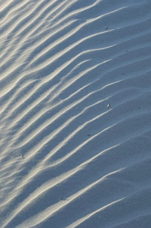 Images Dated 5th April 2006: United States; South Carolina; Charleston; Folly Island, closeup of shadows and patterns