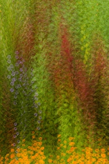 Images Dated 28th August 2005: United States, Virginia, Vienna, Meadowlark Botanical Gardens Multiple exposure