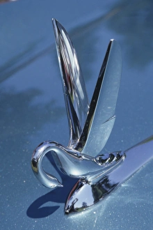 Images Dated 25th November 2012: United States, Washington, Kirkland, car detail at classic car show