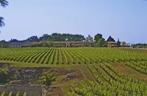 Arable Prints: Unknown chateau and vineyard in Saint Emilion Bordeaux Gironde Aquitaine France