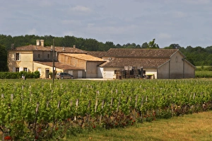 Arable Prints: Unknown property Across the road from Ch Bouscaut. Graves Pessac Leognan Bordeaux